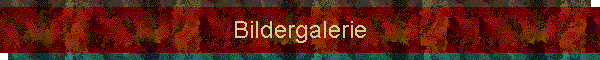 Bildergalerie