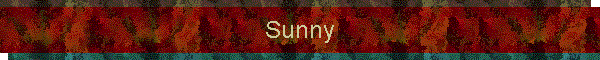 Sunny