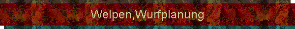 Welpen,Wurfplanung