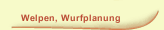 Welpen, Wurfplanung